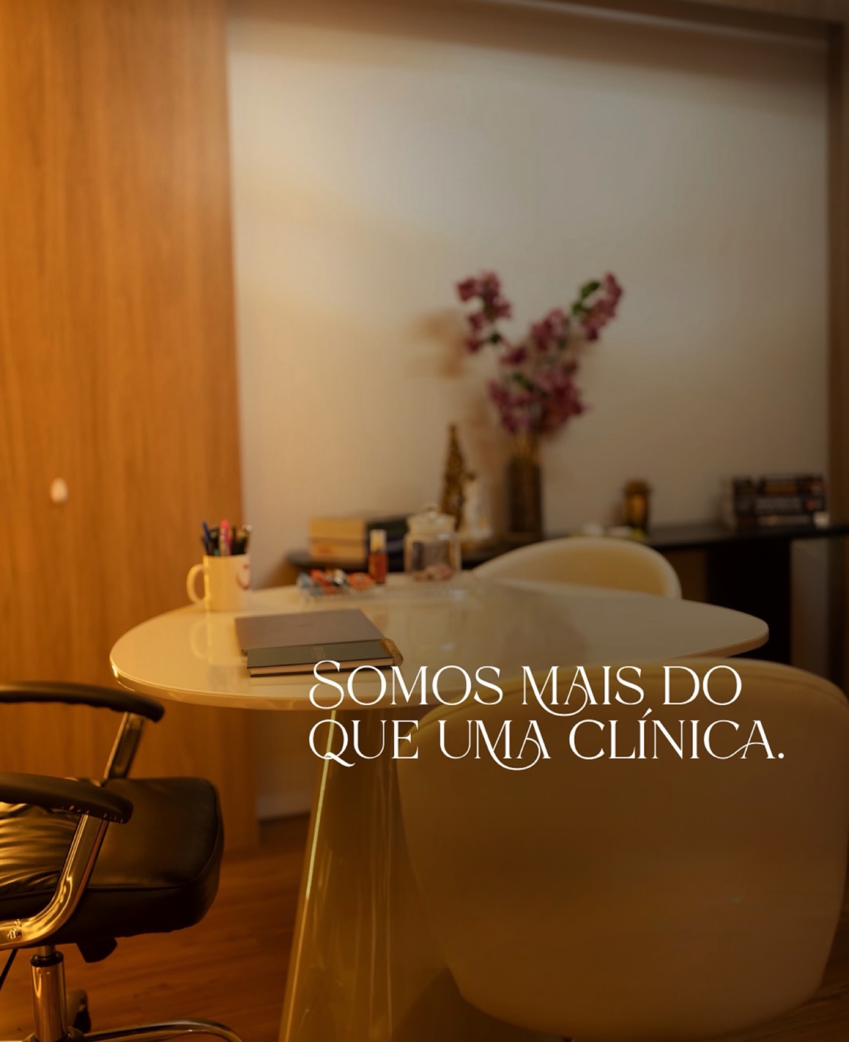 Ambiente Revivera